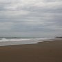 <p align=left>Marée basse, plage vierge, le sable dur, les pas bientôt, les oiseaux aussi. Pour l'instant, pour moi toute seule.